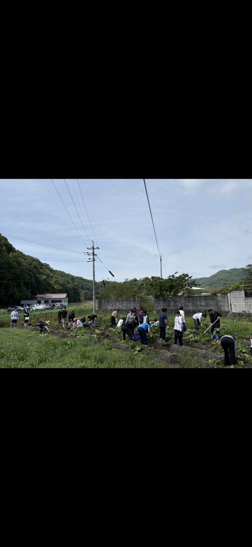 新着情報